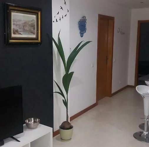 Appartement Espinho *